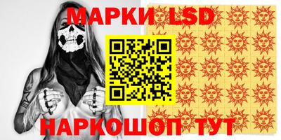 МДПВ Можга