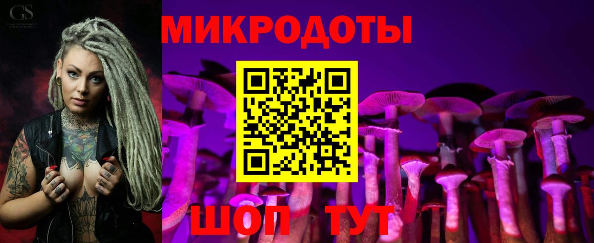 Псилоцибиновые грибы Cubensis Арсеньев