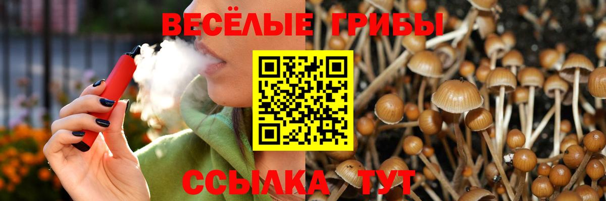 продажа наркотиков  Галлюциногенные грибы мухоморы  Вход с VPN  Арсеньев 